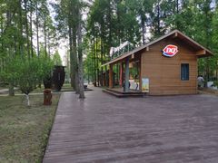 -黄海国家森林公园