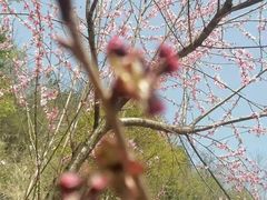 -谭家菜农夫山庄