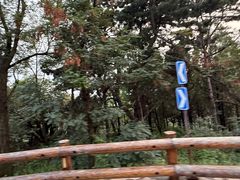 -华夏良子·足道SPA艾灸(龙潭路店)