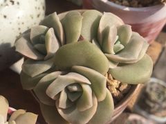 -无锡文化工艺品市场(槐古路店)