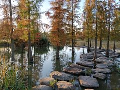 -上海长兴岛郊野公园