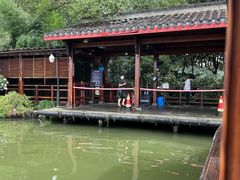 -西湖游船