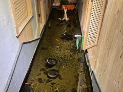 -邈墨茶馆(凤起路店)