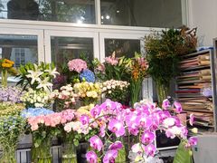 -FEI FEI FLOWER鲜花店·气球派对·宝宝宴布置(虹口德必运动Loft店)