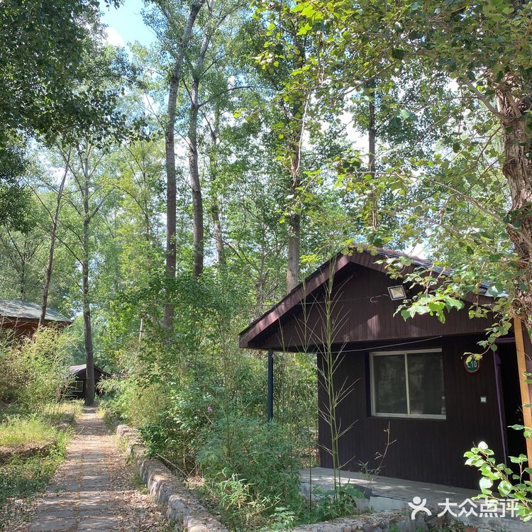 露营🏕️烧烤，遛娃好去处