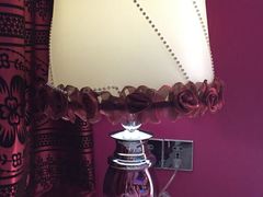-天鹅恋