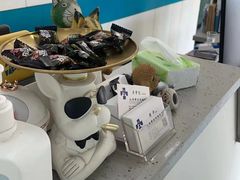 -睿金宠物医院·CT·肿瘤·骨外科