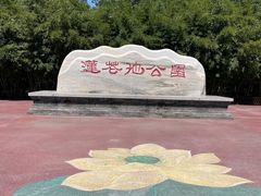 -莲花池公园