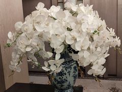 -南堂馆·新川菜(天府三街店)