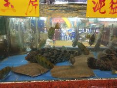 水产区-皮记海鲜1995(寮步店)