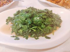-永兴餐厅(复兴中路店)