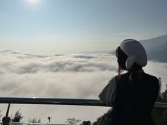 -云南屏边大围山国家公园