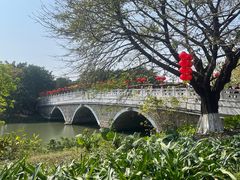 -海珠湖公园