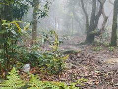 -梧桐山风景名胜区