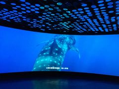 -同济大学四平路校区深海探索馆