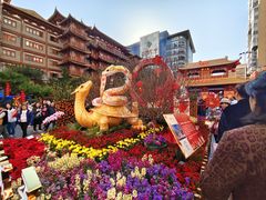 -越秀西湖花市(广州城市广场花卉店)