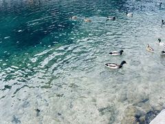 -柯尼希湖