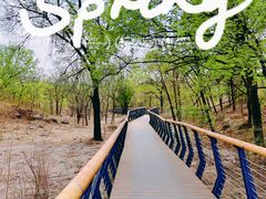 -白水寺森林公园