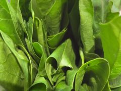 -南门四季铜锅涮肉(大屯·北苑店)