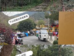 -杭州植物园