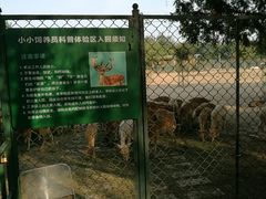 -北京麋鹿生态实验中心