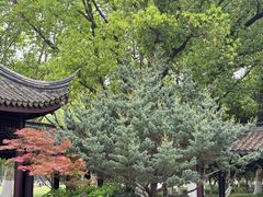 -范蠡湖公园