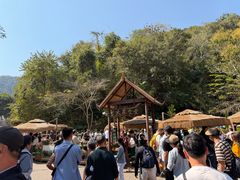 -野象谷景区
