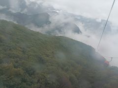 -牛背梁国家森林公园