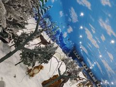-世界之窗阿尔卑斯冰雪世界