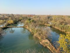 -西溪国家湿地公园