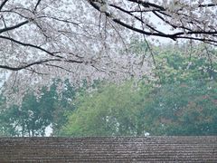 -杭州少年儿童公园