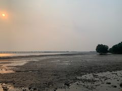 -宝安西湾红树林湿地公园