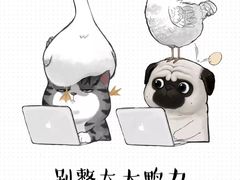 -郭阿姨月亮馍