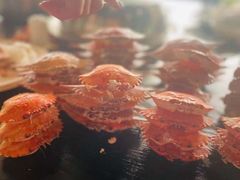 -渔公码头·九龙湾国际饭店