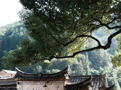 -杨家堂村