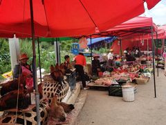 -杨林闻老三酸菜鱼(总店)