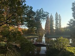 -黄海国家森林公园