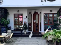 -有猫主题·治愈系猫咖(曾厝垵店)