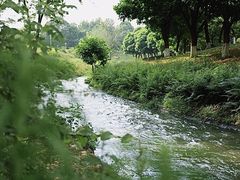 -两河城市森林公园