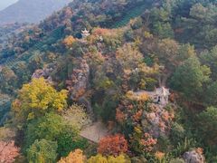-树山生态村