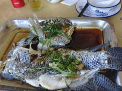 清蒸花斑鱼-桃园美食(水库路店)