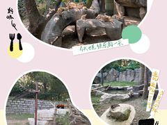 -上海野生动物园