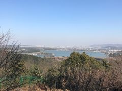 -香雪海