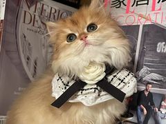-秘密花园(法华镇路店)