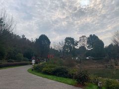 -天目湖涵田半山温泉