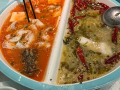 -姚姚酸菜鱼·金戈戈香港豉油鸡(喜荟城联名店)