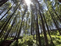 -驼梁风景区