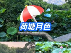 -北陵公园