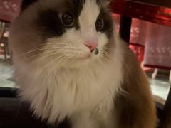 -咖法森林·咖啡  酒吧(天河店)