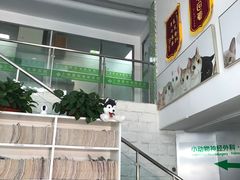 -爱侣宠医·鹦鹉专科·小型哺乳类·异宠专科(灵石路店)